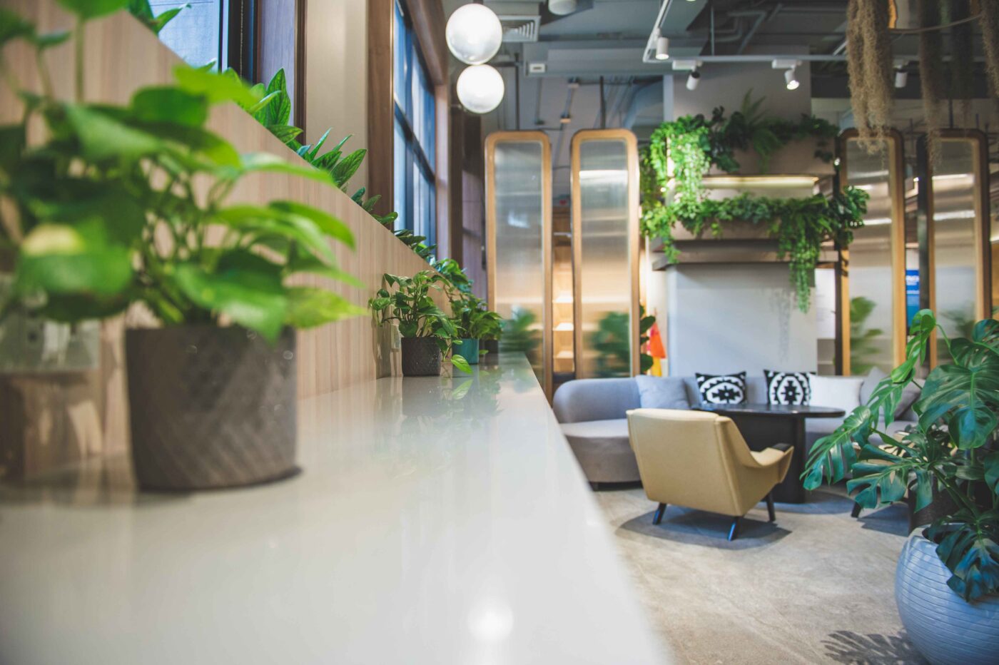 The role of biophilic design in creating a healthier workspace